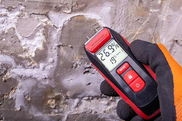 Best Post-Flood Mold Remediation in Killian, LA
