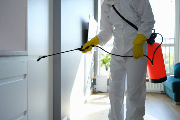 Best Residential Mold Remediation in Killian, LA